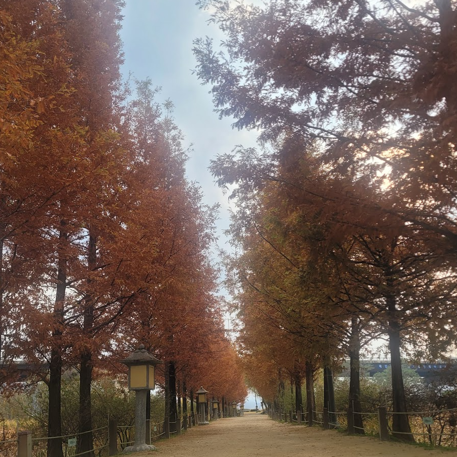 단풍 명소