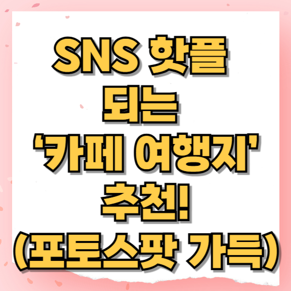 SNS 핫플 되는 ‘카페 여행지’ 추천! (포토스팟 가득)
