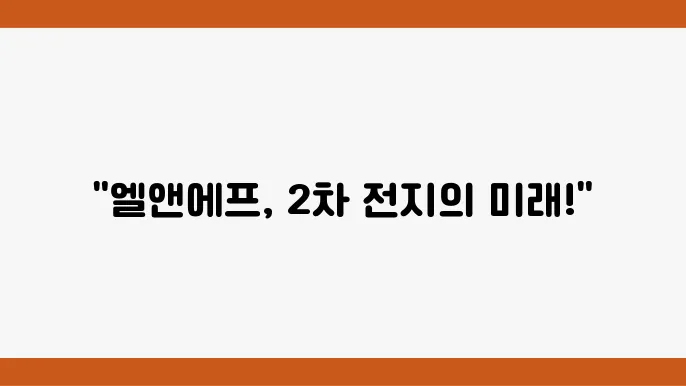 엘앤에프 주가 정보 2차 전지 소재 관련주 주식 정보