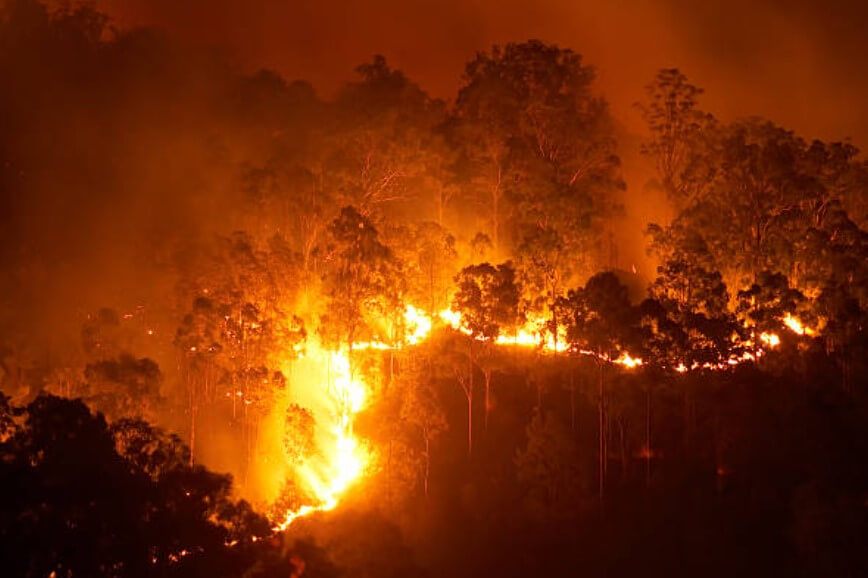 머리에불이붙는꿈