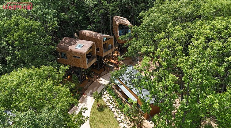 노원 수락휴 예약 바로가기 ▶▶ (정식오픈 노원구민 평생할인)