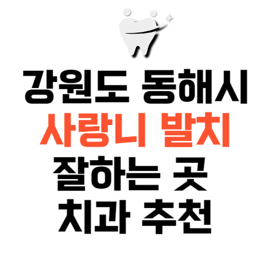 강원도 동해시 사랑니 치과 발치 잘하는 곳 추천 매복 가격 비용.png