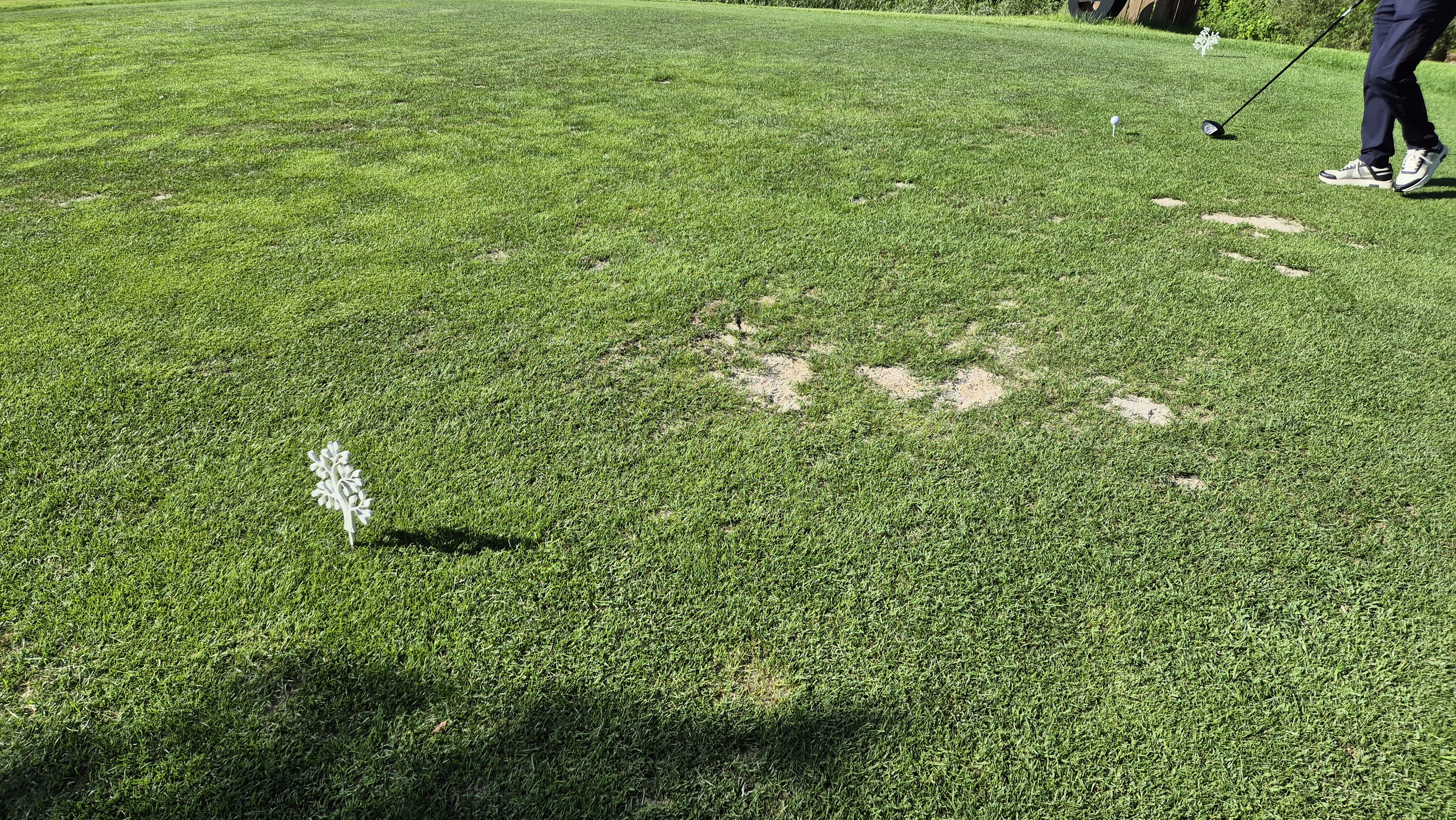 SG 아름다운cc 라운드 후기