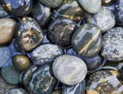 ESFJ 유형 특징 분석