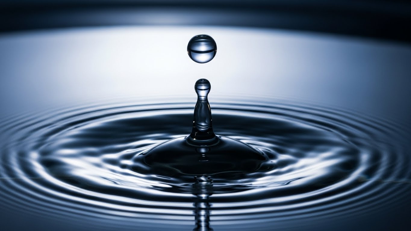 뇌의 자극을 걷어내고 완벽한 몰입상태에 진입함을 상징하는 파동