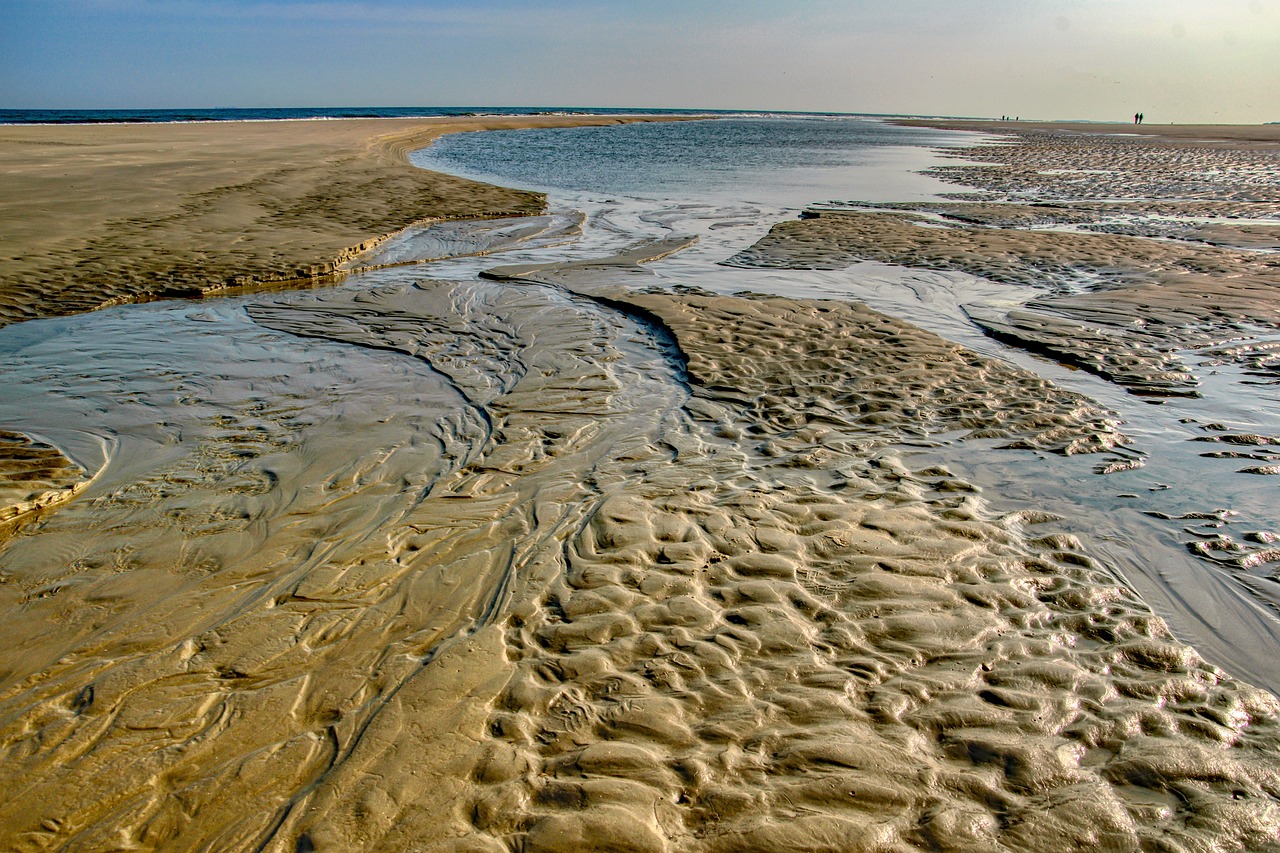 갯벌 체험할 수 있는 국내 여행지 추천 관련 사진