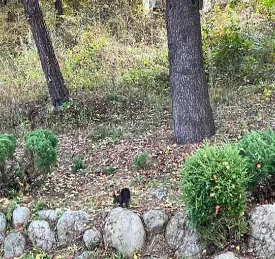 영랑호수공원