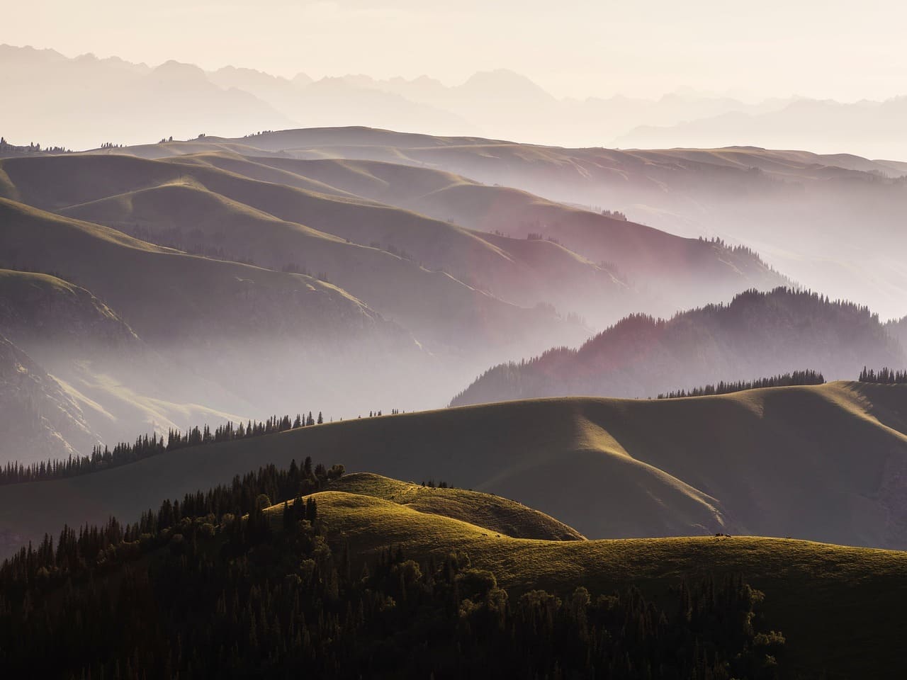국립공원 지리산 뱀사골 야영장 예약방법