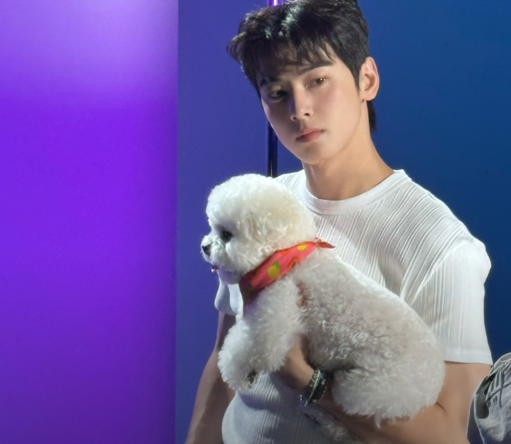 차은우 도청 50대 여성 