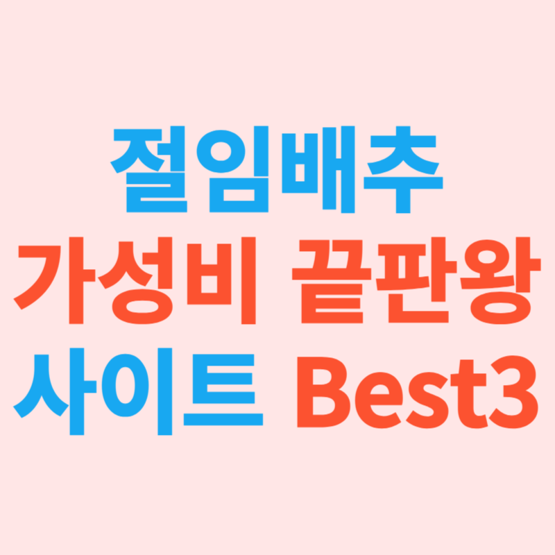 절임배추 가성비 끝판왕 사이트 Best3