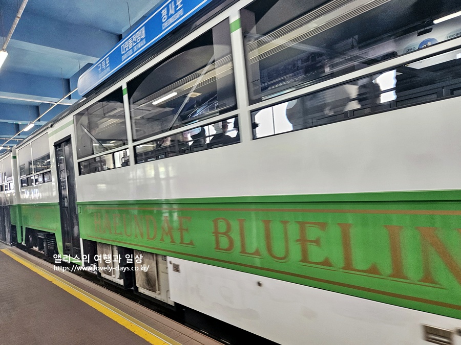 부산 여름 여행 필수! 시원한 야외 장소 BEST 5 추천 가볼만한곳