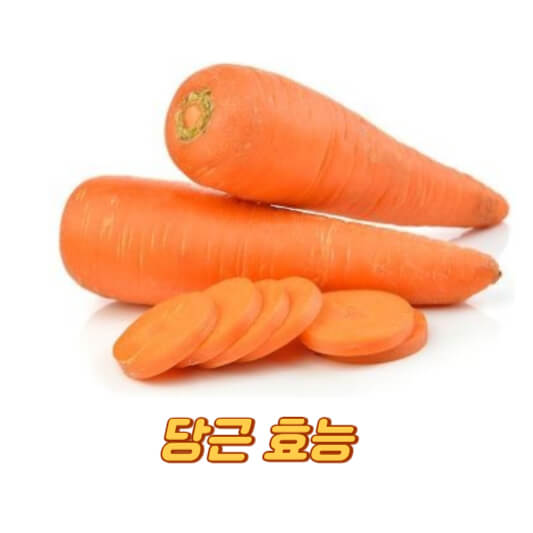 당근 효능