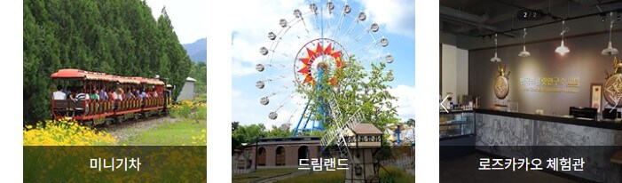 장미축제