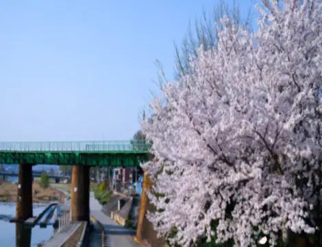 서울가볼만한곳베스트10-아차산생태공원