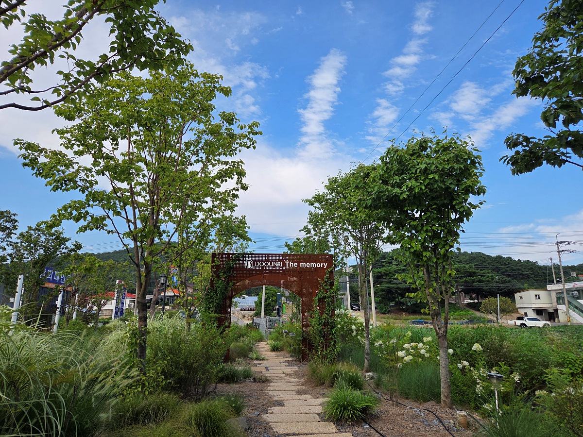 강화도 대형카페 두운리&amp;#44; 초록의 목수국 정원까지 즐기는 강화도 갈만한곳