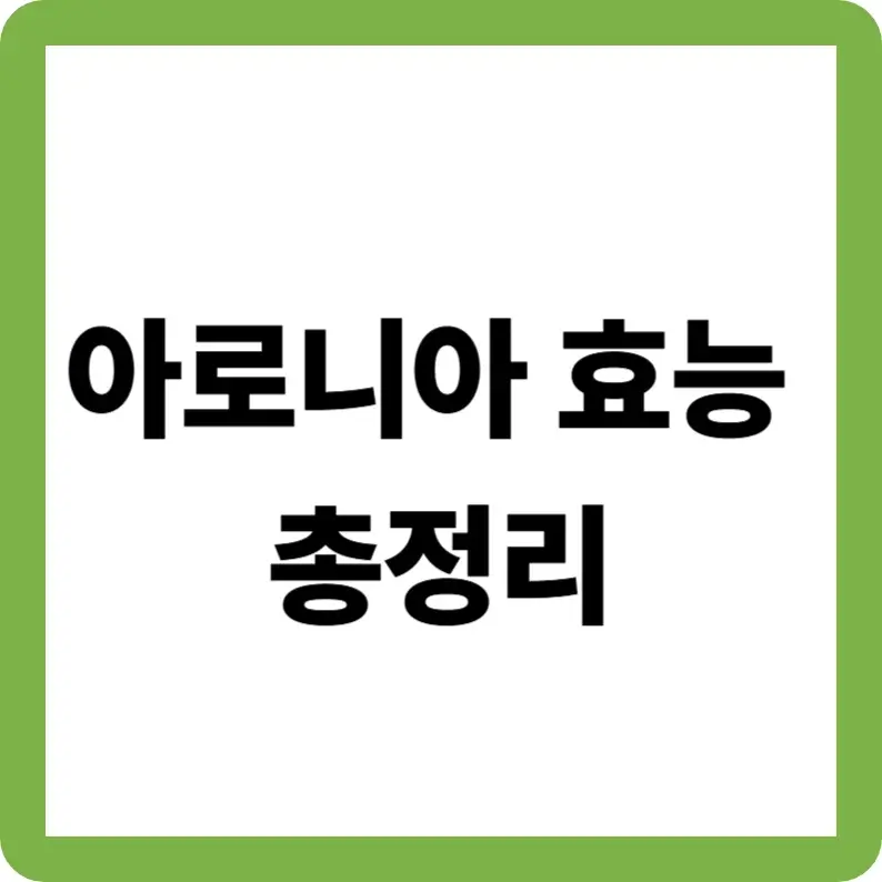 아로니아 효능 총정리｜눈 건강·피부·혈관 개선 효과와 부작용까지