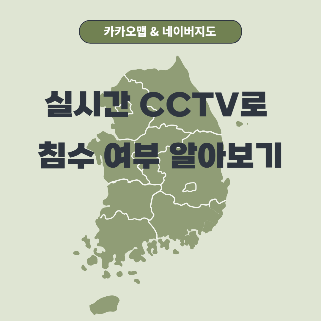 카카오맵 네이버지도 실시간 cctv