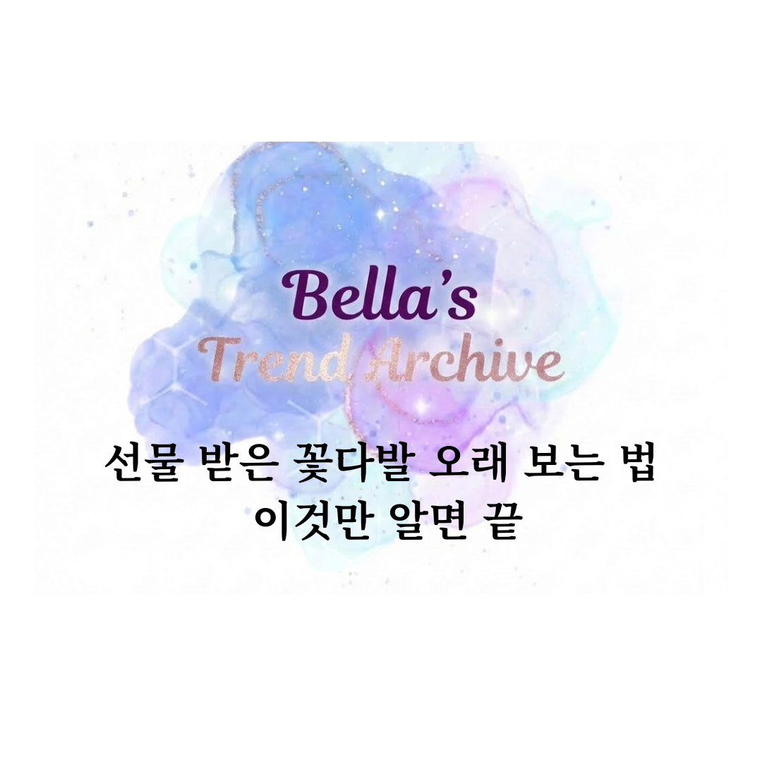 선물 받은 꽃다발 오래 보는 법과 꽃 관리 팁을 소개하는 벨라의 트렌드 아카이브 썸네일 이미지
