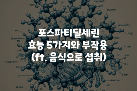 포스파티딜세린 효능