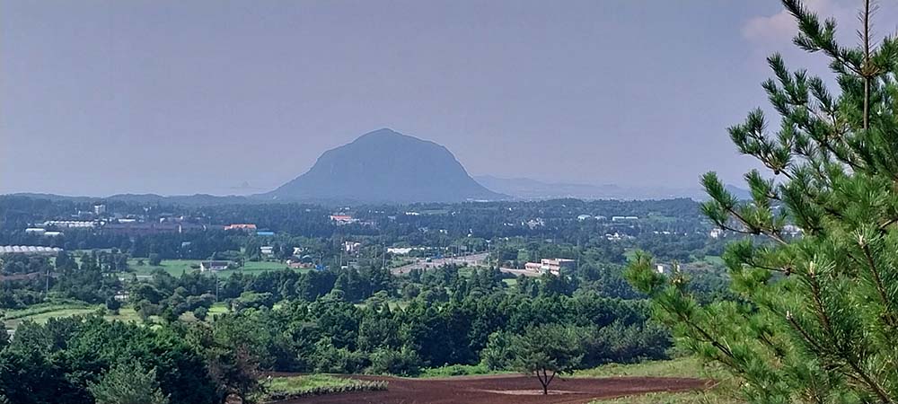 거린오름+곶자왈말보호구조센터