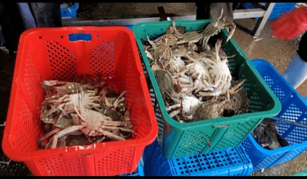 백반기행-진도-송가인-꽃게-장어-복성식당