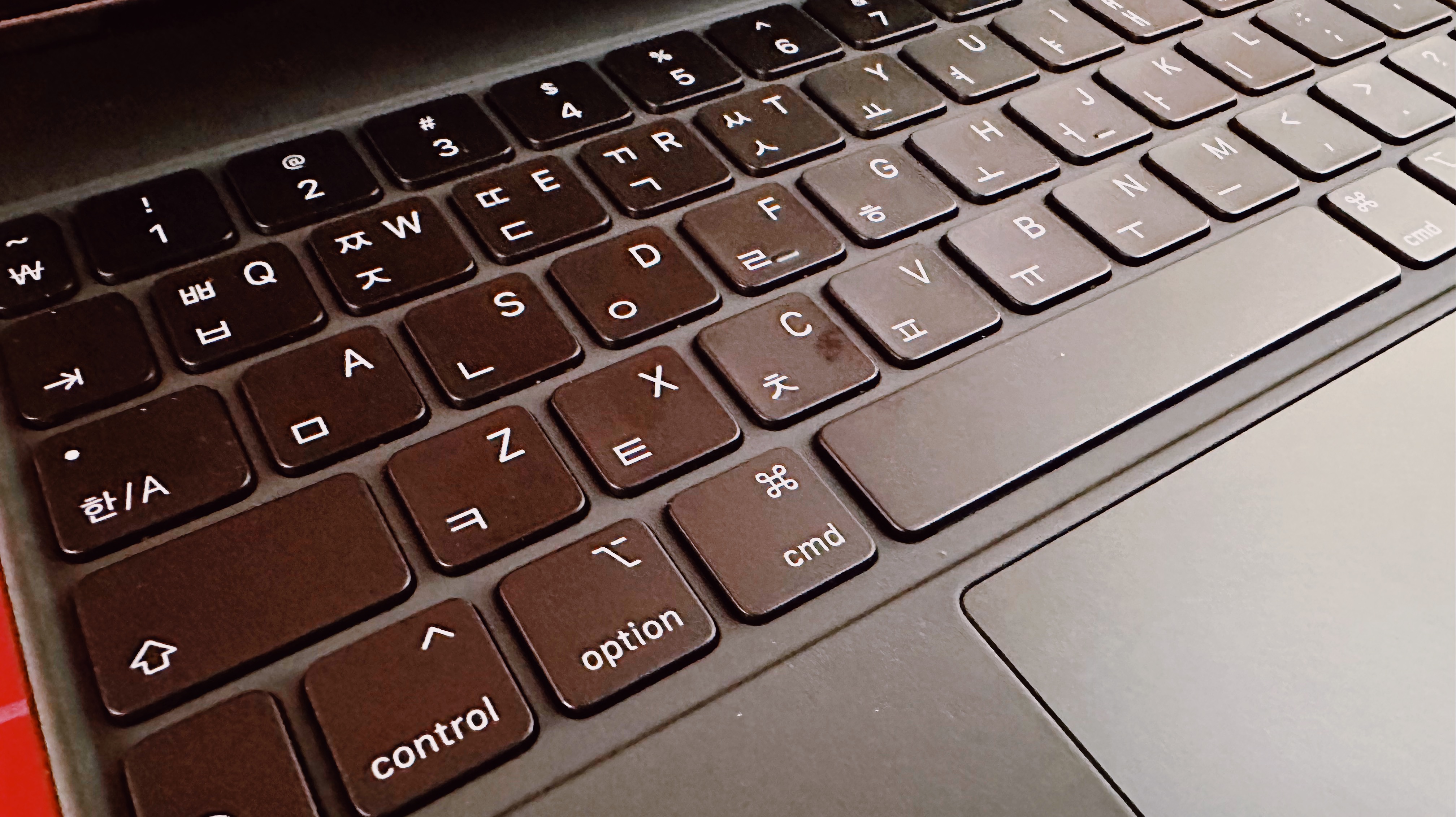 매직 키보드 라이트 OFF