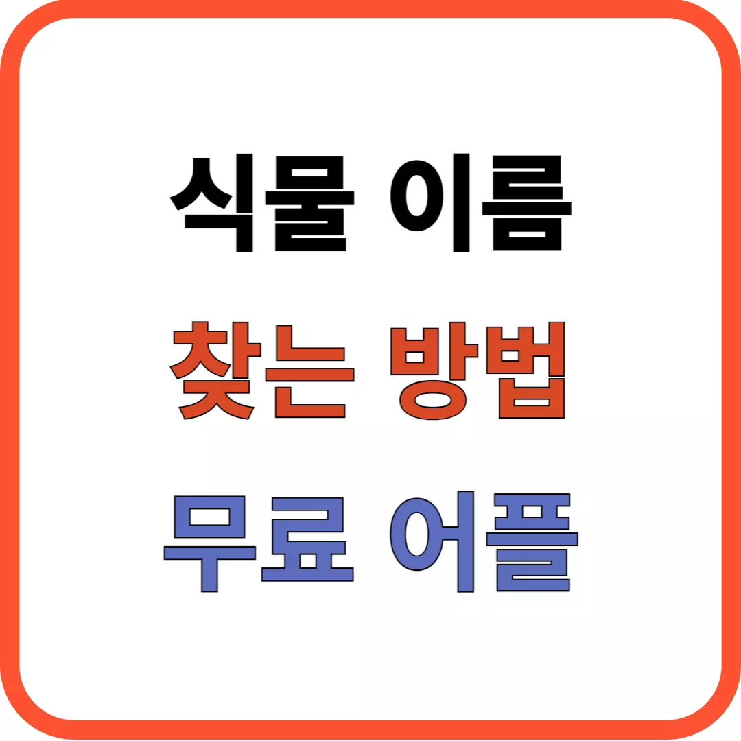 식물이름 찾기