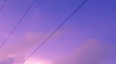 고객번호 조회방법