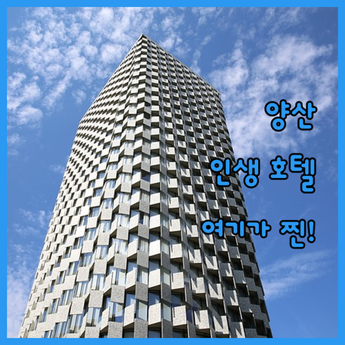 출장객과 여행객이 극찬한 양산 최고의..