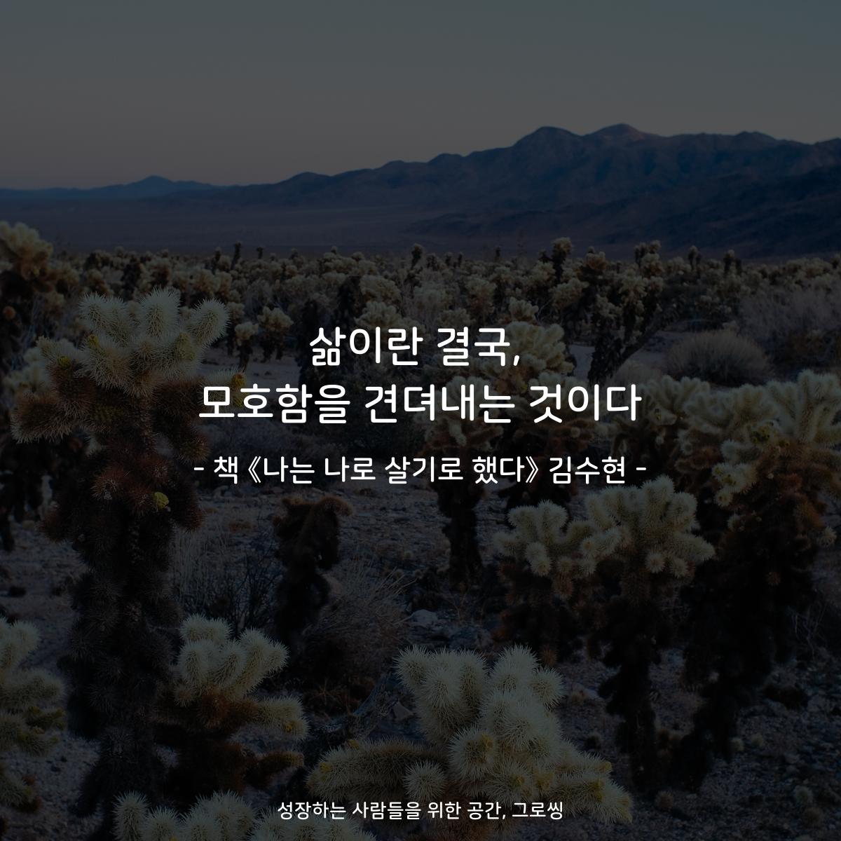 삶이란 결국,
모호함을 견뎌내는 것이다