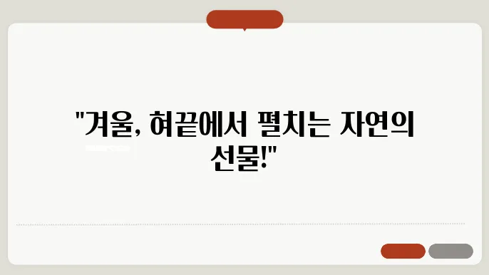 겨울철 제철음식