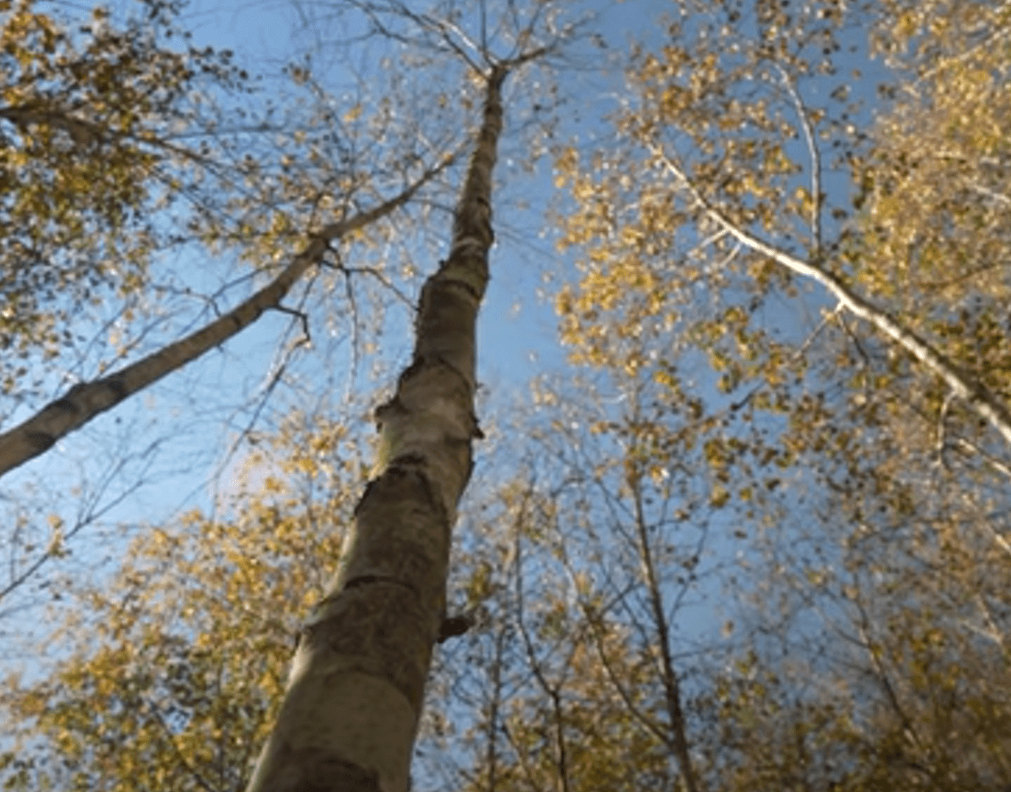 화담숲 예약 시작 입장료 77