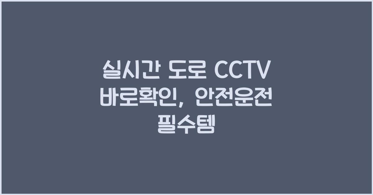 실시간 도로 cctv 바로확인