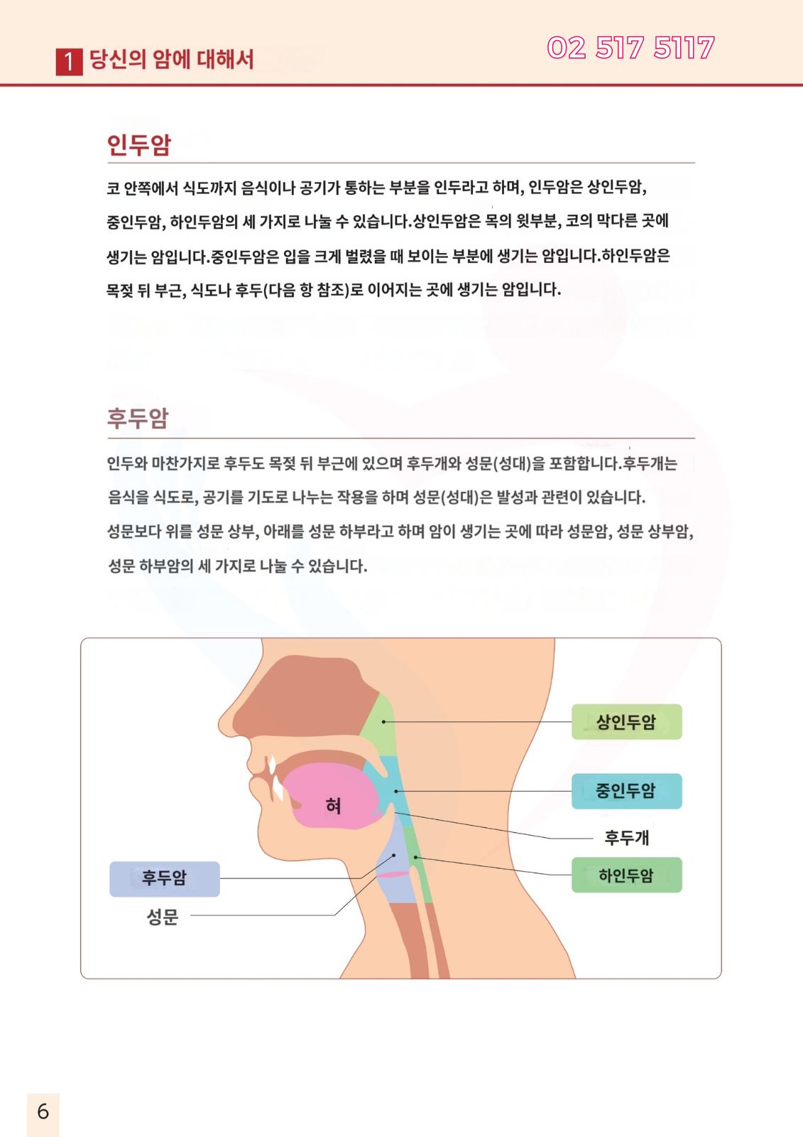 두경부암 광면역치료