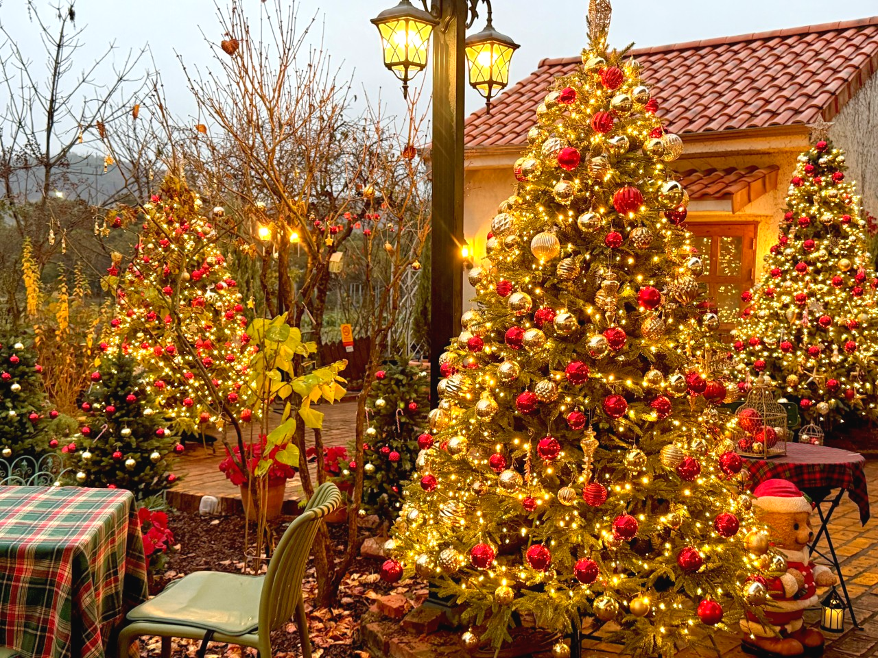 로즈스텔라정원