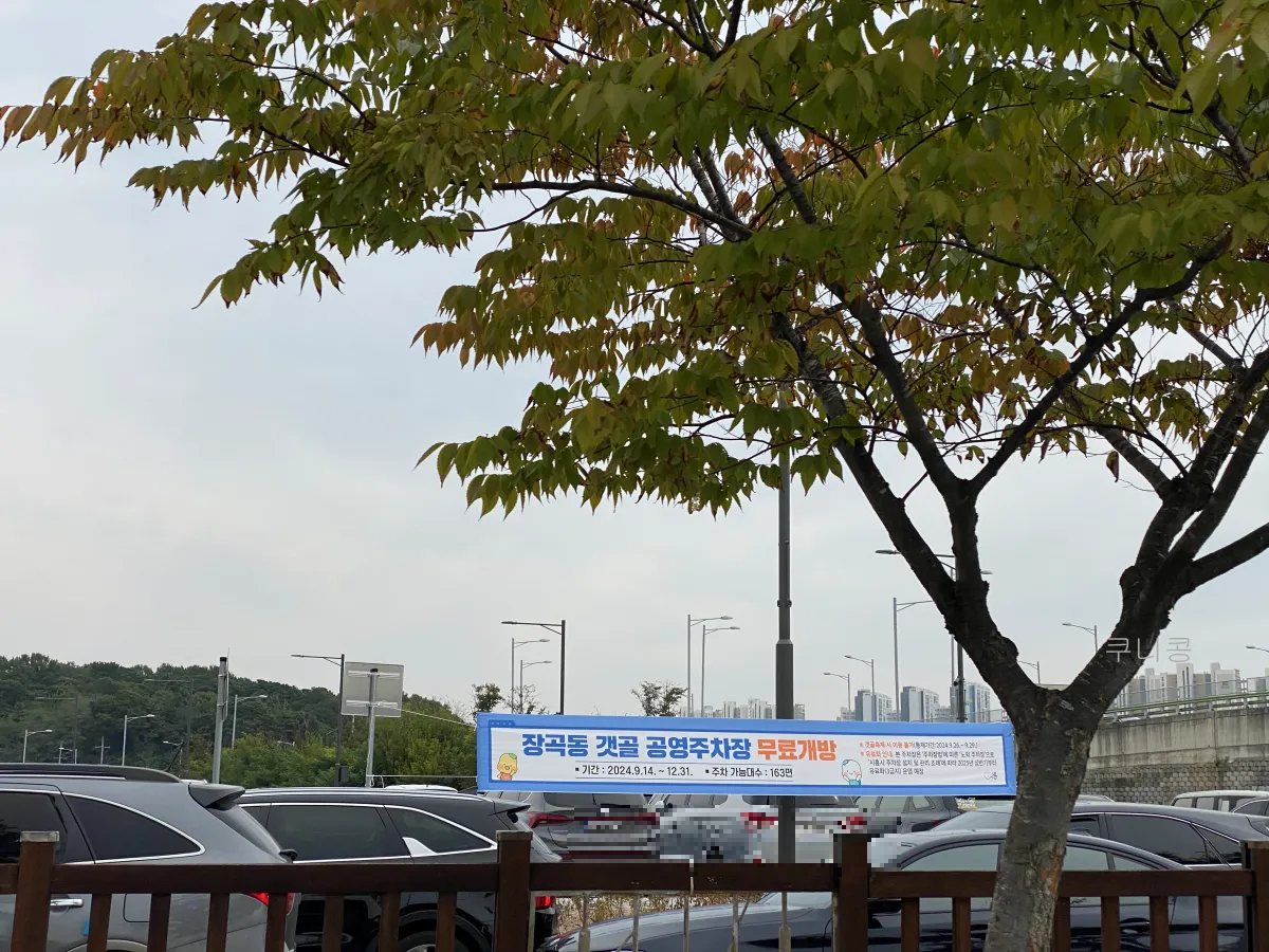 서울-근교-나들이-가볼만한곳-추천-억새-코스모스-시흥갯골생태공원-무료-주차-꿀팁