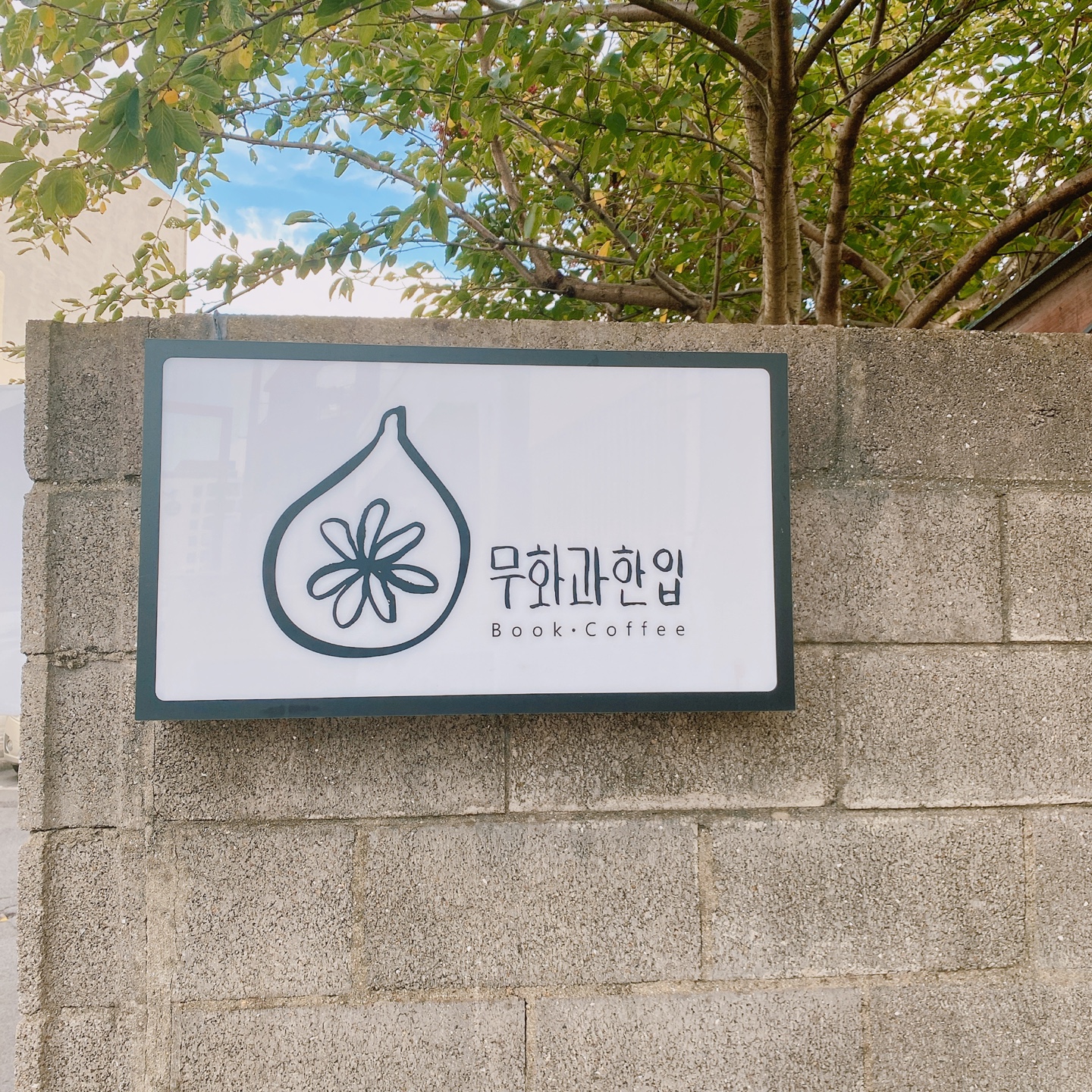 제주 동문시장 주택 구옥개조 북카페 무화과한입