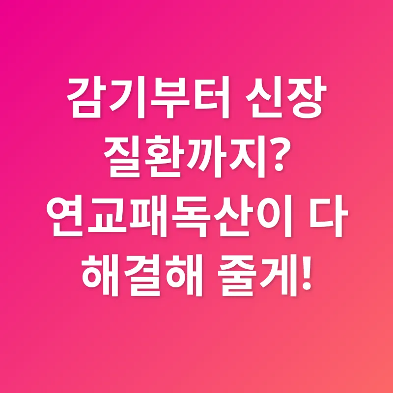 연교패독산 효능_2