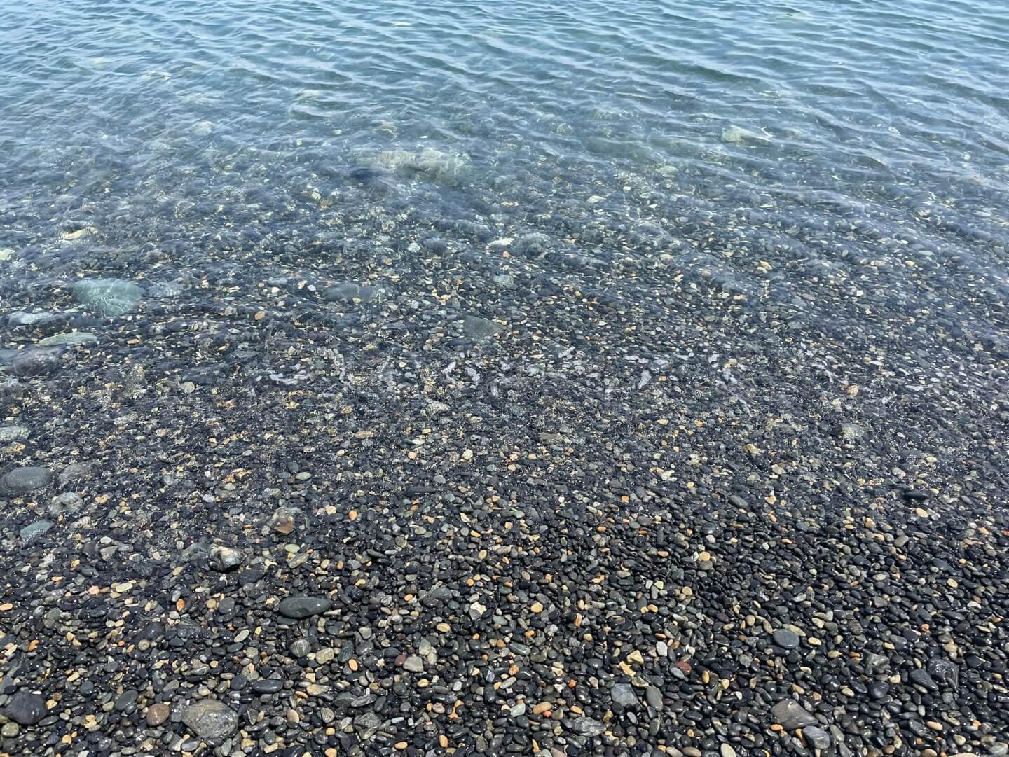 예송리해수욕장