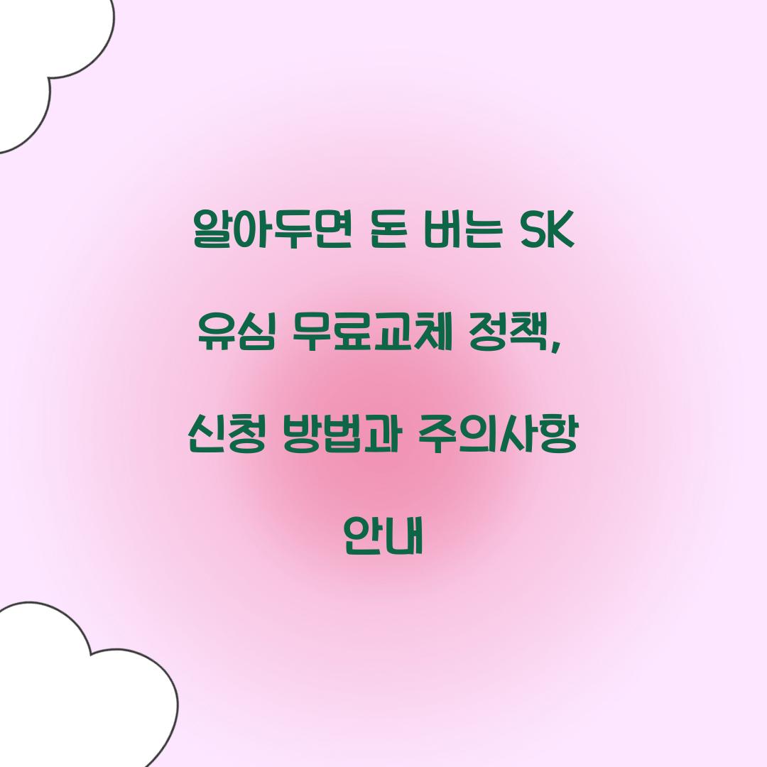 알아두면 돈 버는 SK 유심 무료교체 정책의 모든 것