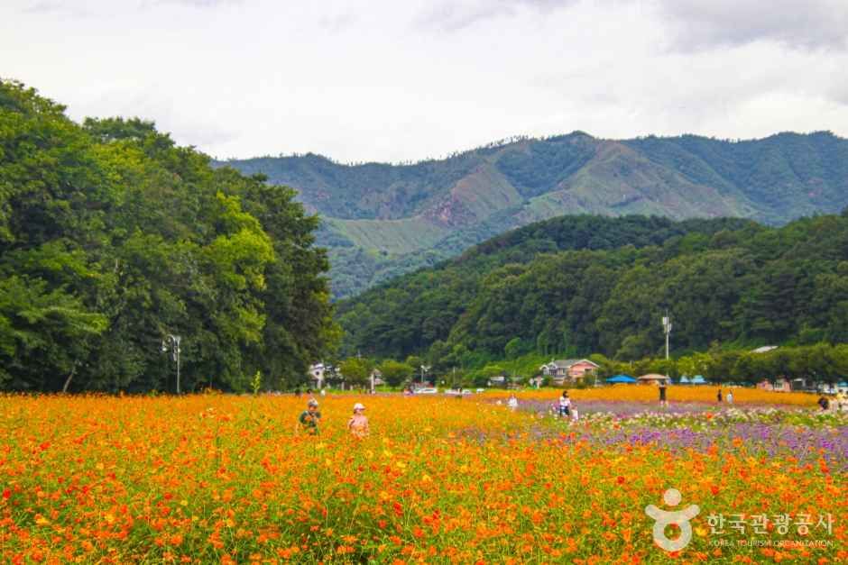 함양 가볼만한곳 베스트10