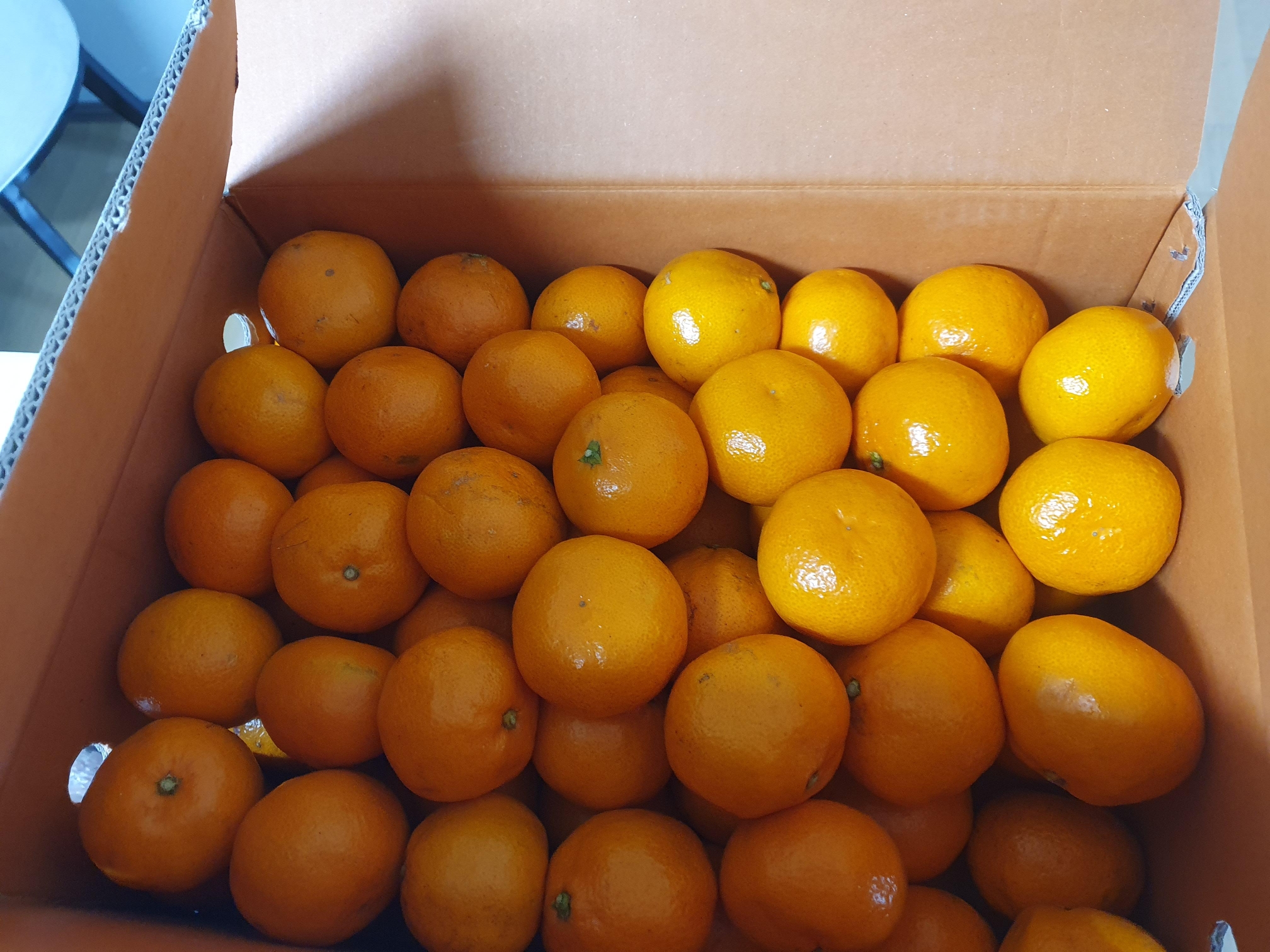 사이즈는 s사이즈 먹기 딱 좋은 사이즈긴함!!