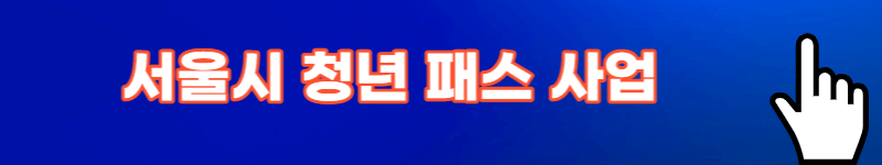 서울시 청년패스