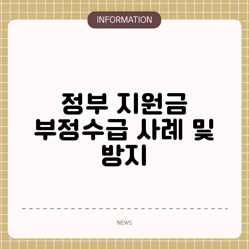 정부 지원금 부정수급 사례 및 방지