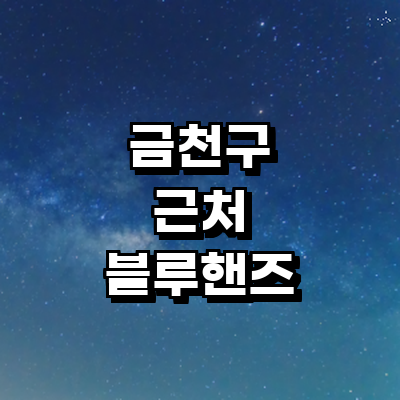 서울 금천구 블루핸즈