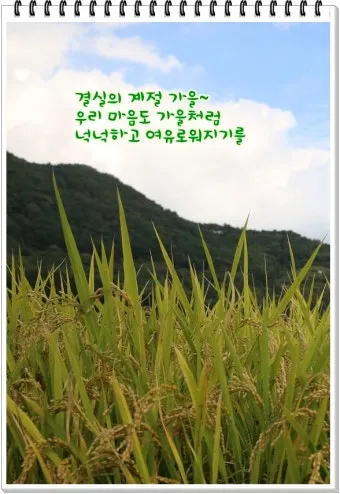 10월 인사말 문구 모음 정리_20