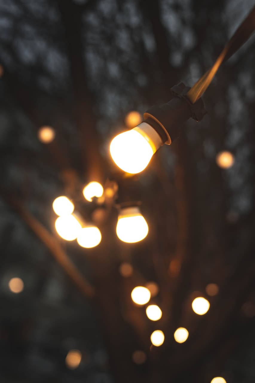 직업 시장에서 살아남기: 미래형 커리어의 비밀