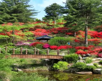 아침고요수목원_3