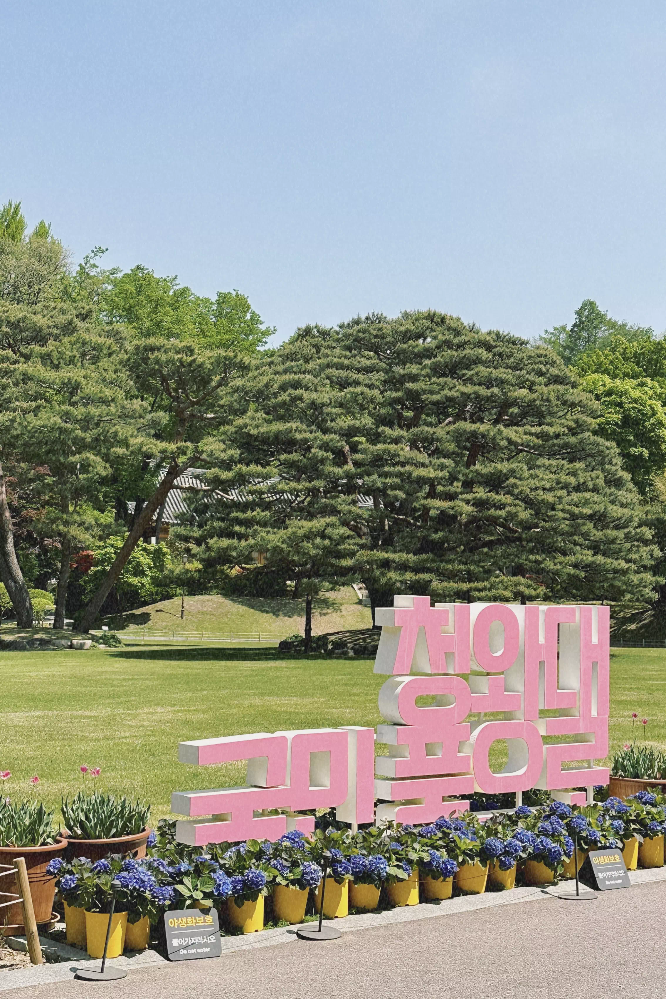 청와대