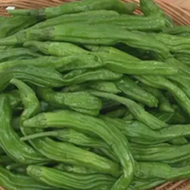 바구니에-담긴-초록색-꽈리고추